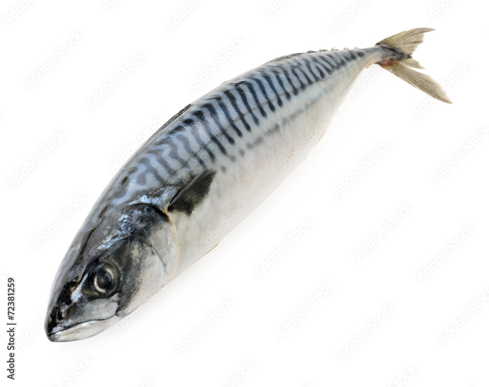mackerel fish on wooden plate isolated