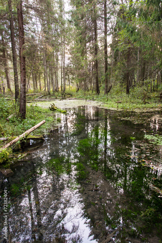 Fototapeta Naklejka Na Ścianę i Meble -  old river bank with reflections in water