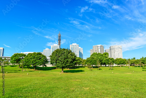 Landscape grass and trees prospects the condominiums of landmark