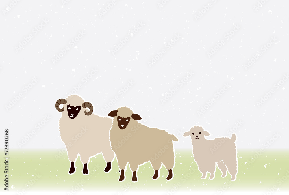 Fototapeta premium greeting card of the sheep