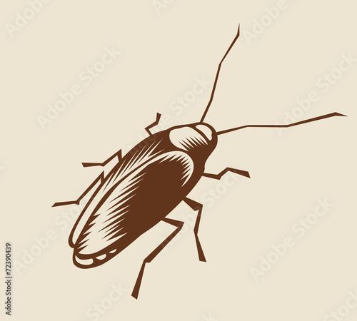 Cockroach