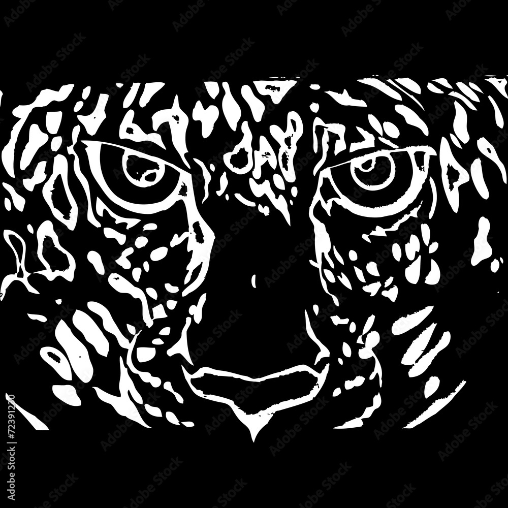 Fototapeta premium Tiger Face Vector