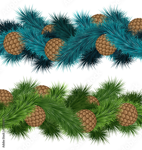 Conifers cones in pine branches isolated on white background