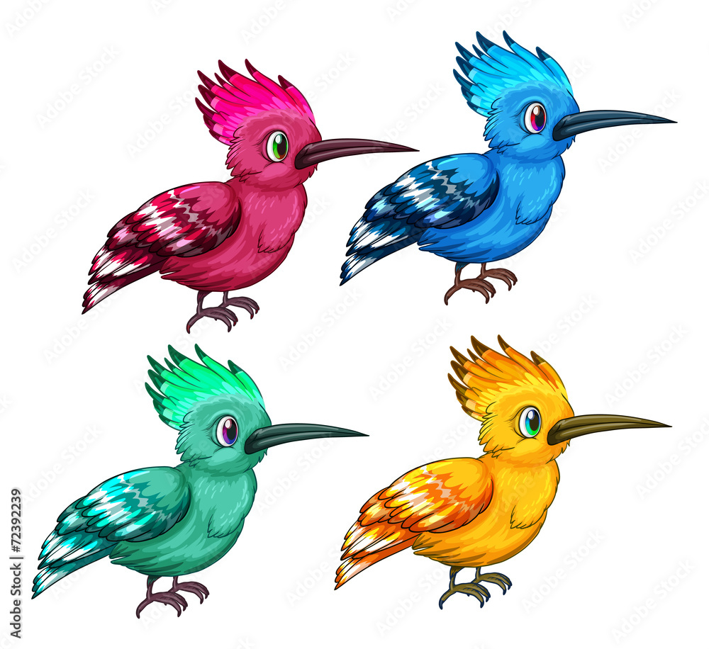 Naklejka premium Bird