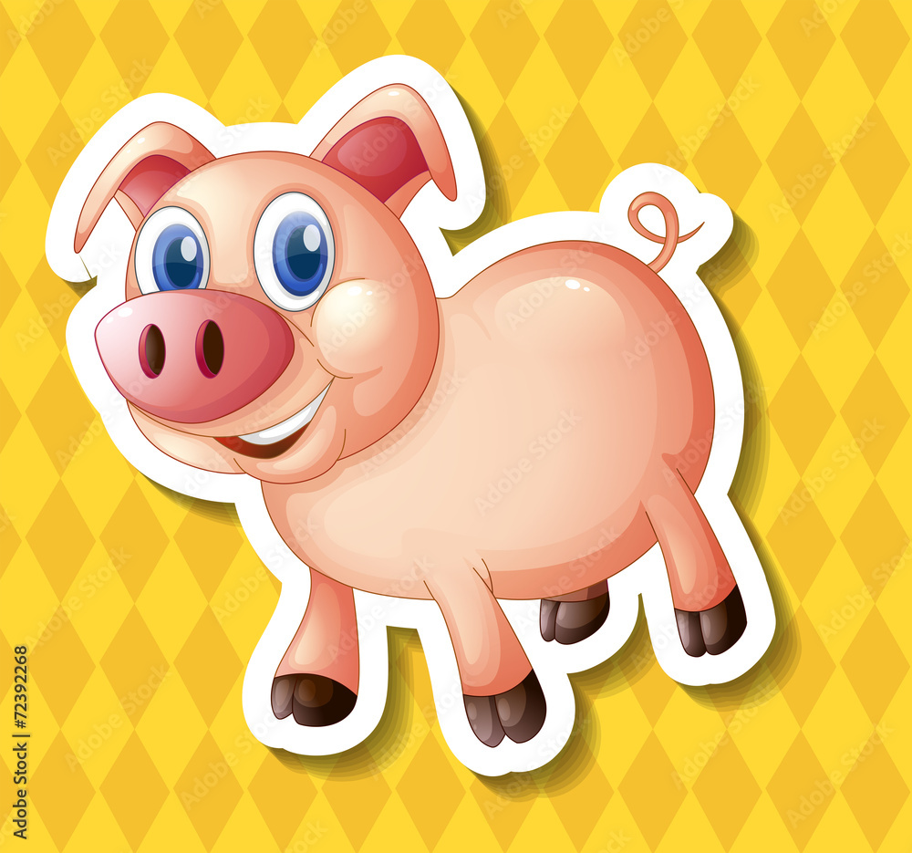 Pig Pig
