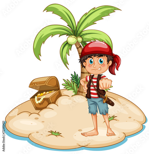 Pirate and island