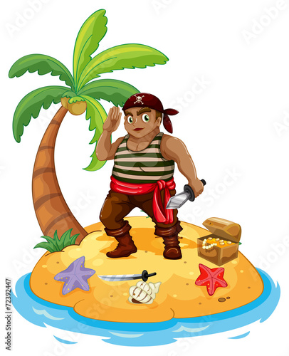 Pirate and island
