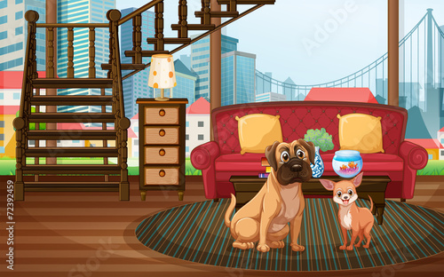 Dogs and living room