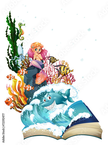 Mermaid and ocean