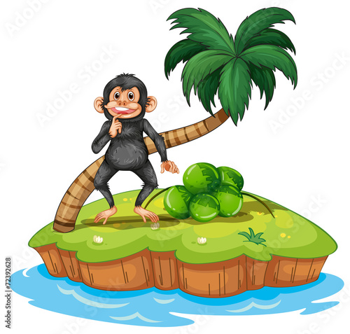Monkey and island
