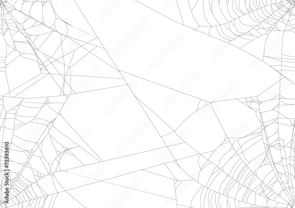 spider web isolated on four white corners