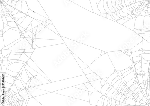 spider web isolated on four white corners