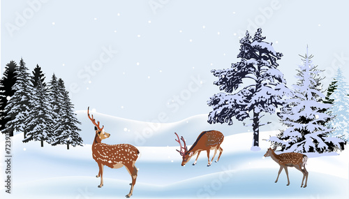 tree deers under snowfall in forest
