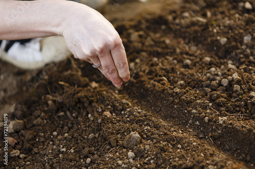 woman hand sowing seed