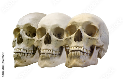 group of three human skulls