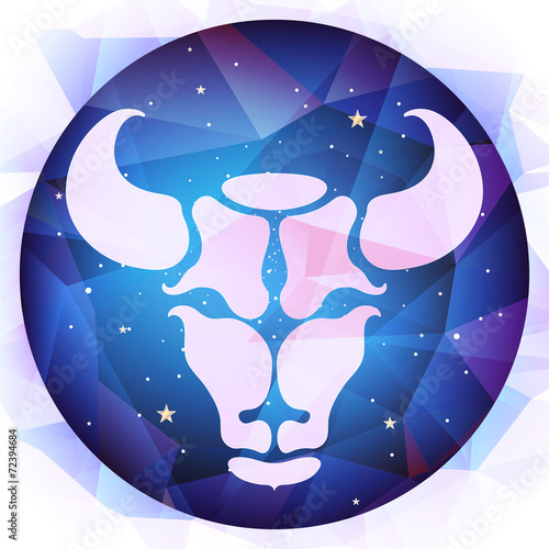 zodiac signs, vector illustration
