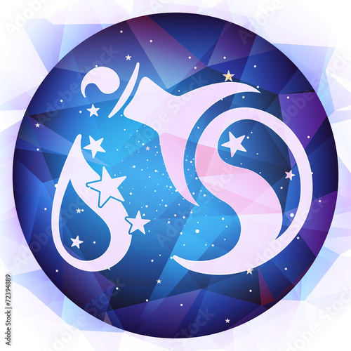 zodiac signs, vector illustration