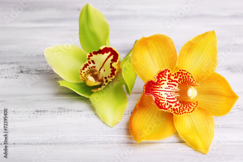 Fototapeta Naklejka Na Ścianę i Meble -  Yellow tropical orchid flowers on color wooden background