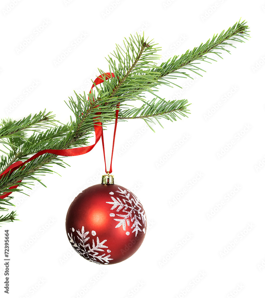 Red bauble on conifer branch isolated