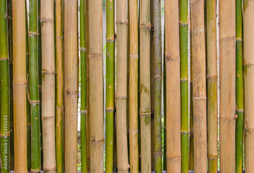 green bamboo fence background texture pattern green bamboo fence background texture pattern
