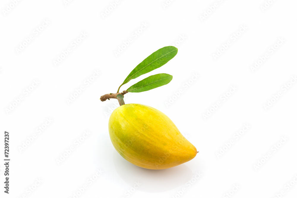 Egg fruit, Canistel. Egg fruit, Canistel.