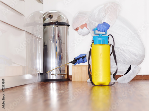 Pest controler works in the kitchen photo