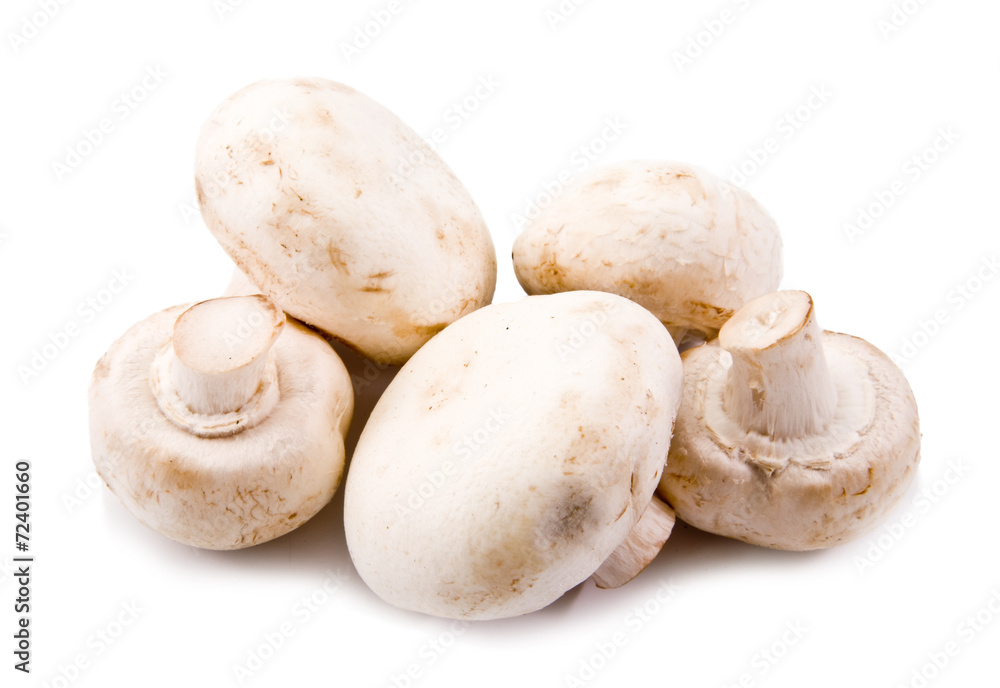mushrooms mushrooms