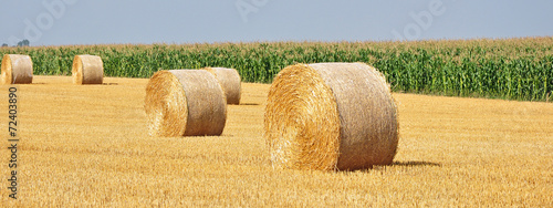Fotografie strohballen am feld