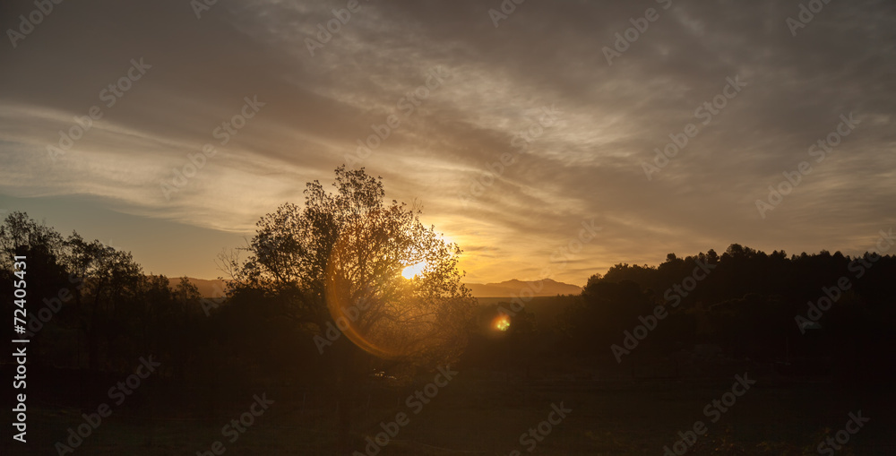 Fototapeta premium Beautiful morning landscape