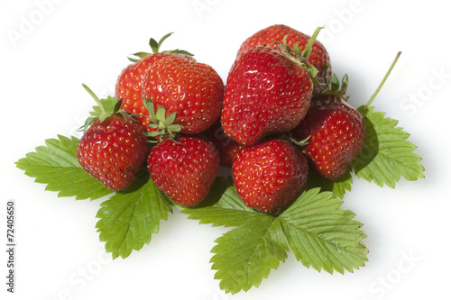 Erdbeere, Fragaria x ananassa, Beerenobst,