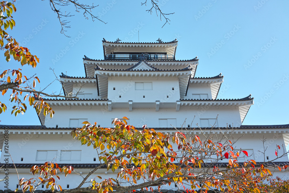 Fototapeta premium 鶴ケ城