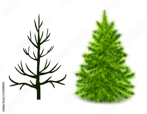 Vector trees trunk and branched green Christmas tree