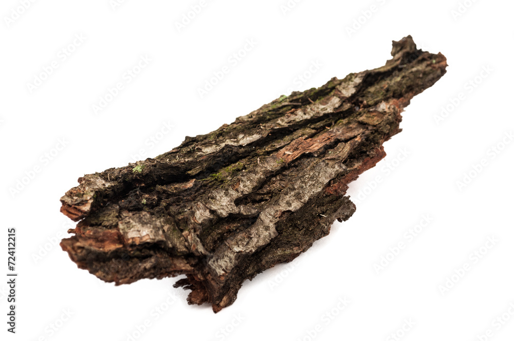 Fototapeta premium Tree rind.