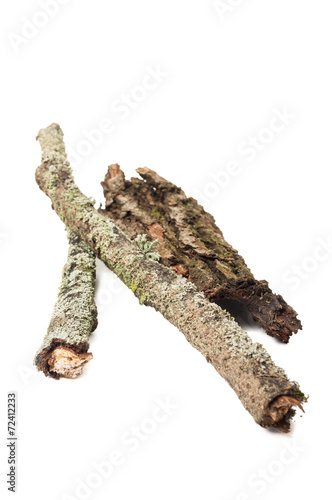 Tree stick with moss and rind or bark.