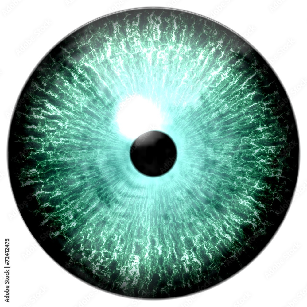 Illustration of a green eye on a white background. Illustration of a green eye on a white background.