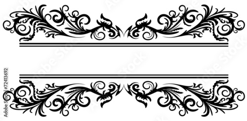 Floral frame 2