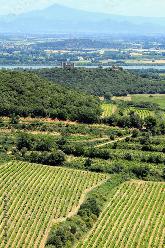 Provence landscape, South of France