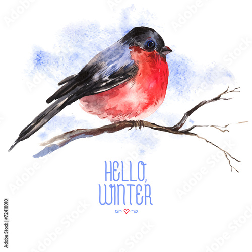 Winter Watercolor Background with Bullfinches