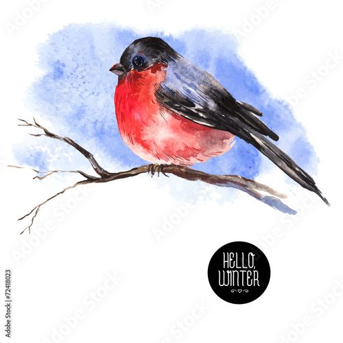 Winter Watercolor Background with Bullfinches