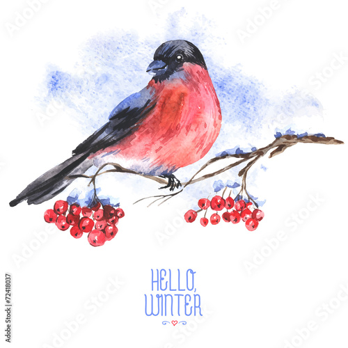 Winter Watercolor Background with Bullfinches