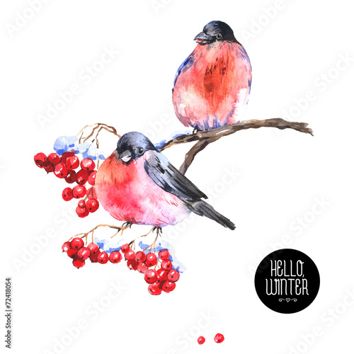 Winter Watercolor Background with Bullfinches