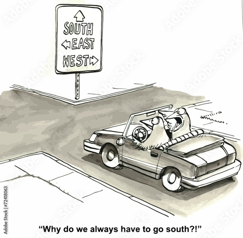 "Why do we always have to go south?"