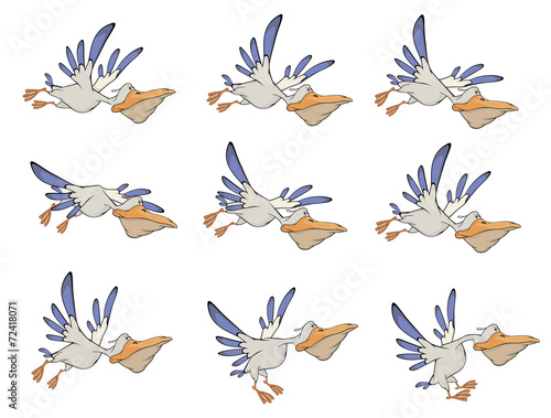 A set of pelicans storyboards