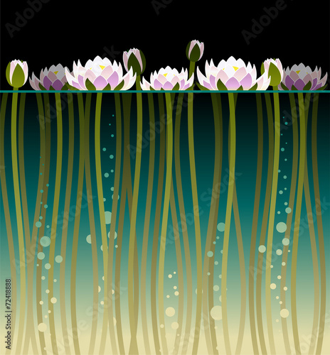 Illustration of water lily with water and bubbles