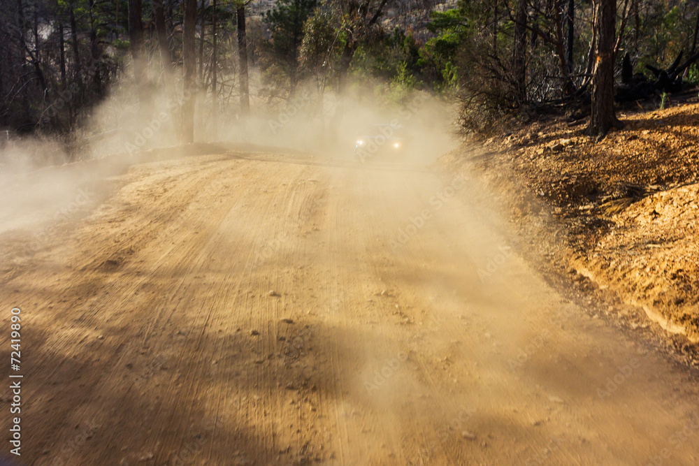 Fototapeta premium Driving off road