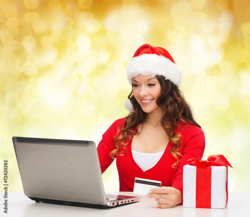 smiling woman with credit card and laptop smiling woman with credit card and laptop
