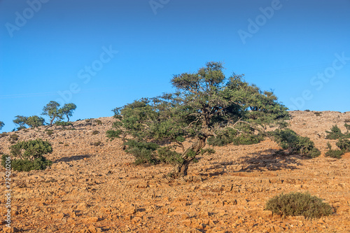 Landscape of Morocco