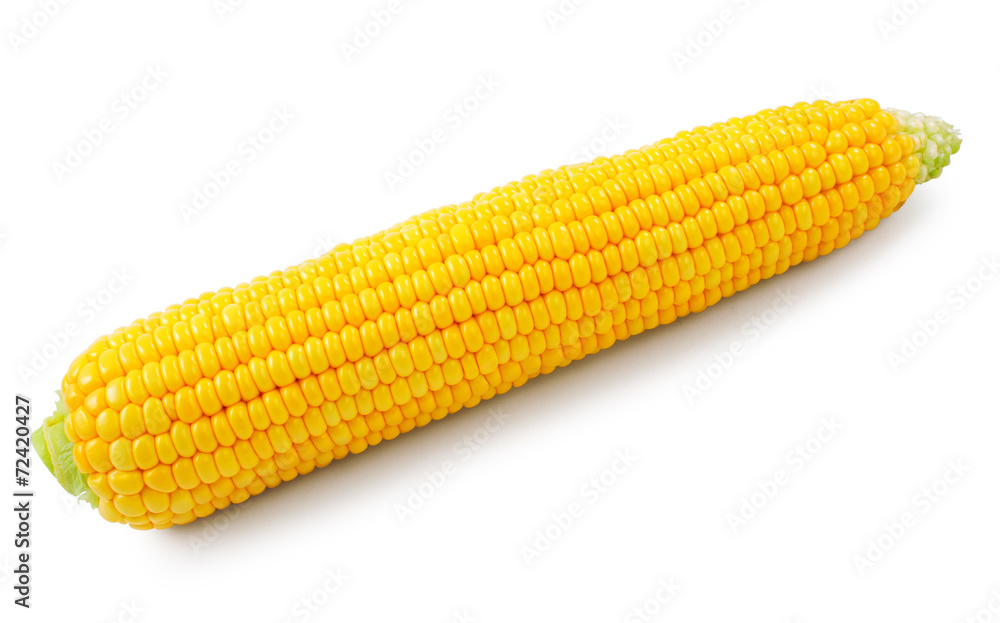 Fresh raw corn on white background. isolated Fresh raw corn on white background. isolated