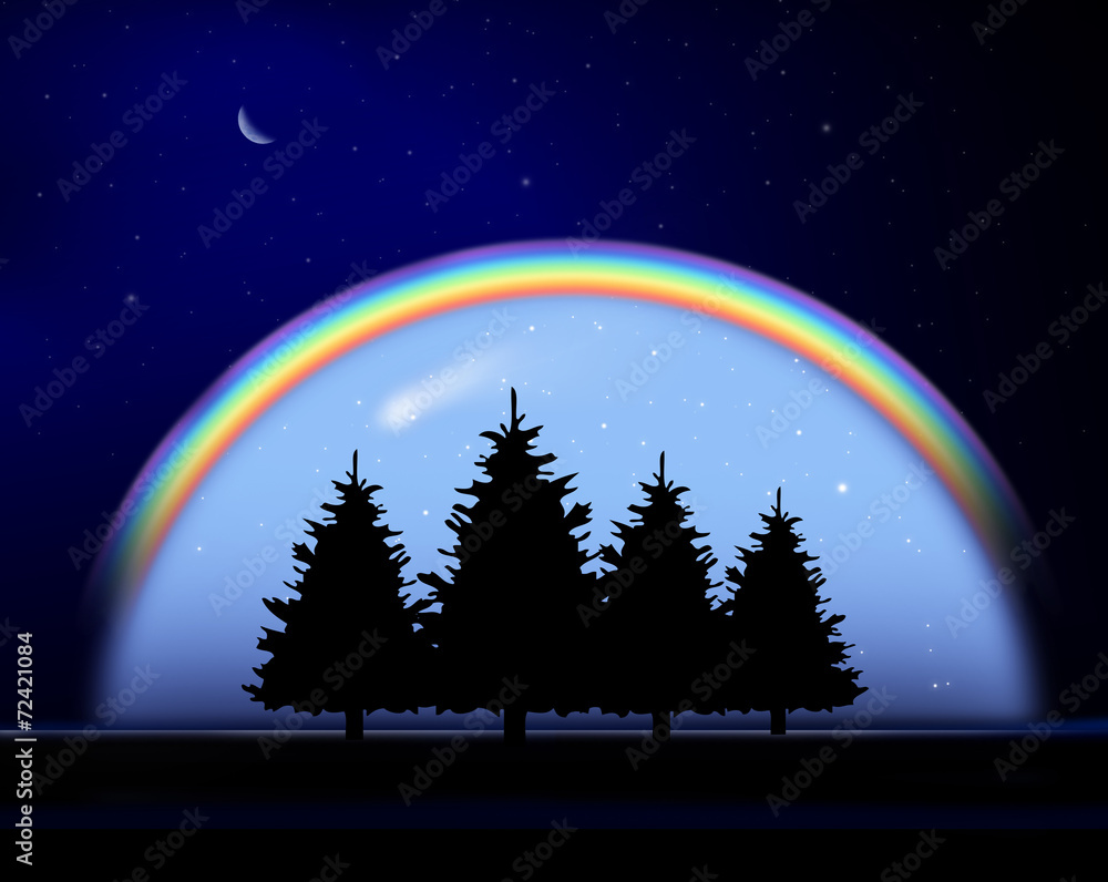 Fototapeta premium Tannenbäume unter Regenbogen