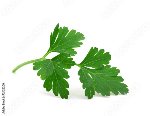 Photography parsley